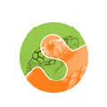 logo scikit image